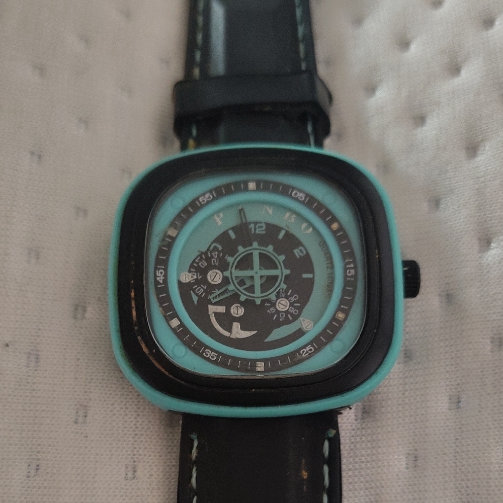 Pinbo watch